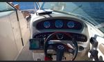 Sea Ray 270 Sundeck-kuva-19
